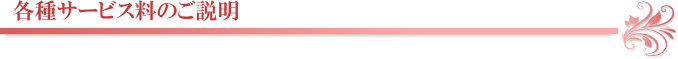 各種サービス料のご説明
